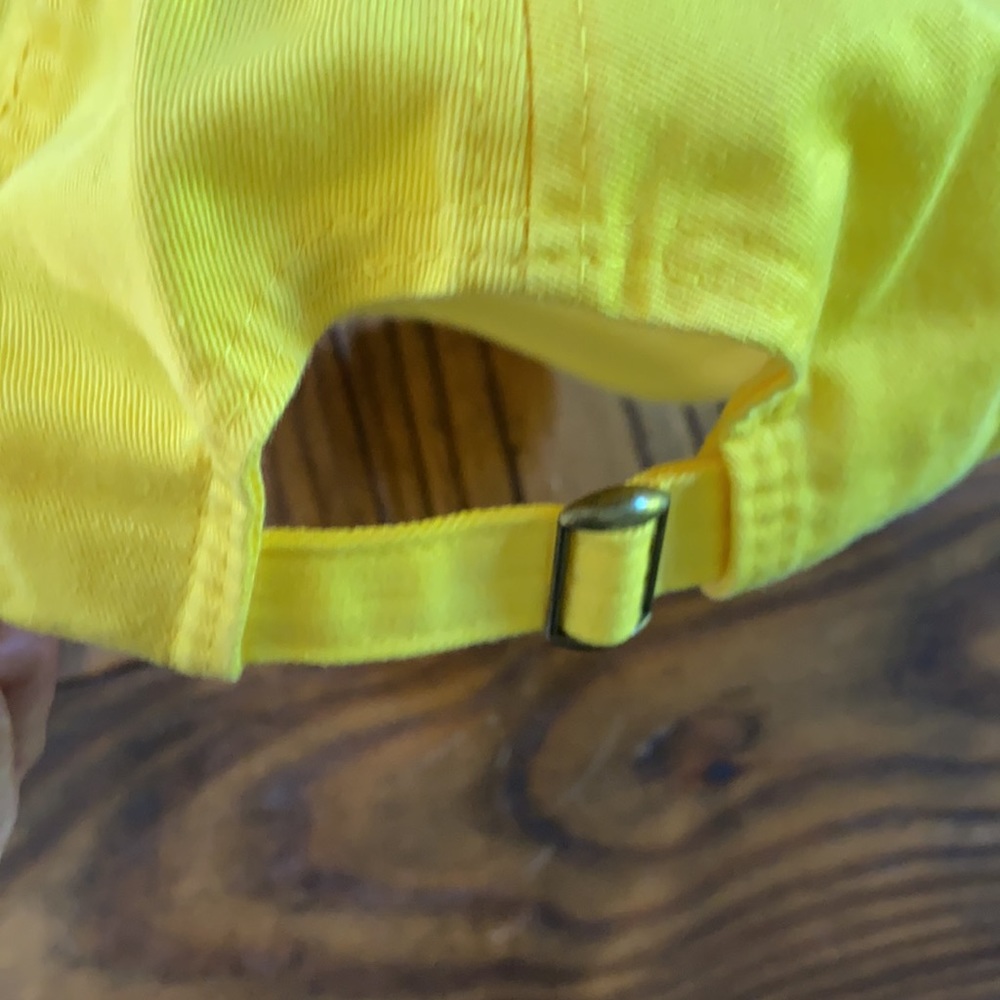 Tri-Delta Cap - Picture 3 of 3